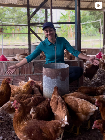 Galinhas circulando no espaço rural do rancho